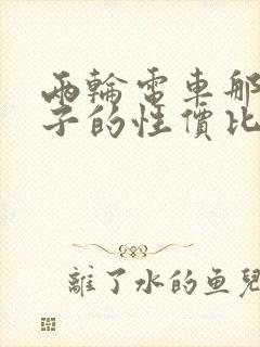 两轮电车那个牌子的性价比高