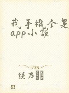 我手机全是禁忌app小说