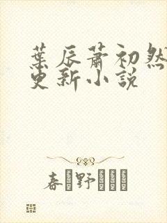 叶辰萧初然最快更新小说