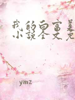 我的白富美老婆小说全文免费阅读