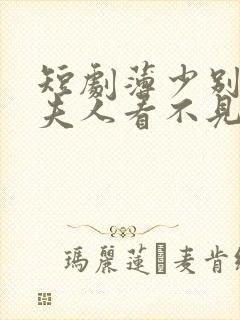短剧薄少别演了夫人看不见全集
