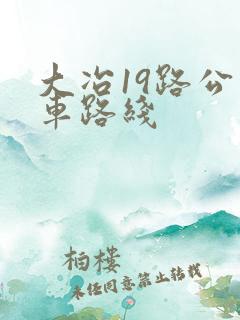 大冶19路公交车路线