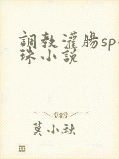 调教灌肠sp拉珠小说