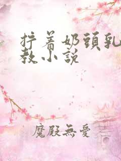 拧着奶头乳夹调教小说