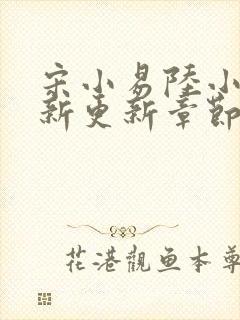 宋小易陆小婷最新更新章节笔趣阁