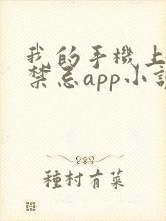 我的手机上全是禁忌app小说在线观看