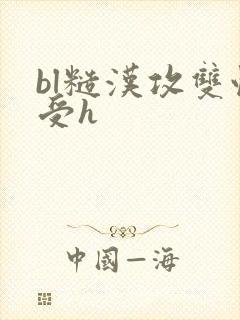 bl糙汉攻双性受h