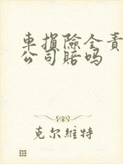 车损险全责保险公司赔吗