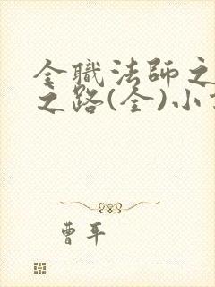 全职法师之女王之路(全)小说