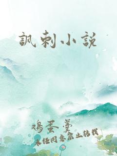 讽刺小说