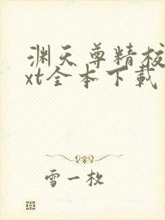 渊天尊精校版txt全本下载