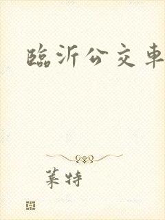 临沂公交车价格