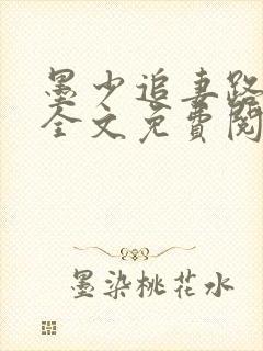 墨少追妻路漫漫全文免费阅读