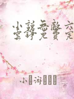 小说无敌六皇子云铮免费完本