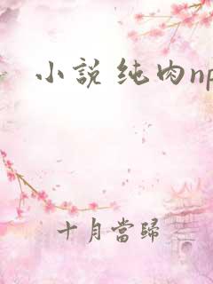 小说 纯肉np