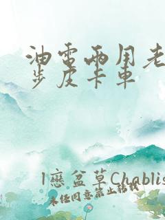 油电两用老年代步皮卡车 油电两用老年代步皮卡车