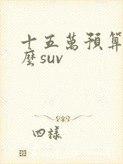 十五万预算买什么suv