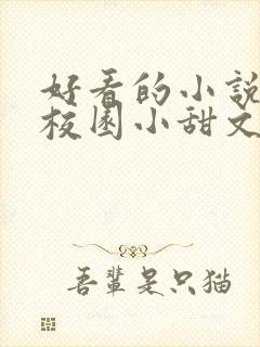 好看的小说言情校园小甜文