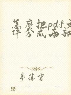 怎么把pdf文件分成两部分