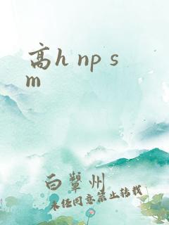 高h np sm