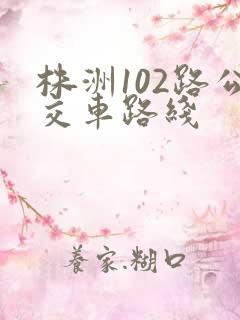 株洲102路公交车路线