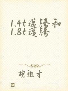 1.4t迈腾和1.8t迈腾