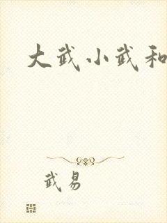 大武小武和黄蓉