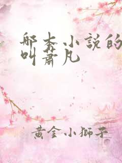 哪本小说的主角叫萧凡