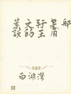叶文轩是哪本小说的主角