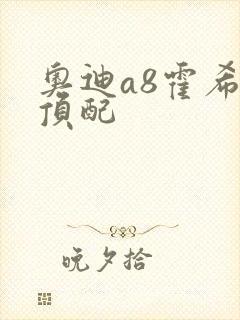 奥迪a8霍希版顶配