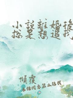 小说离婚后前夫总是想追我免费下载