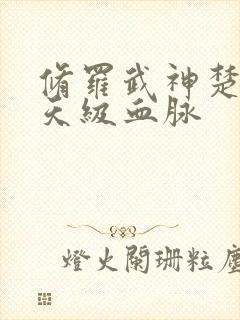 修罗武神楚枫的天级血脉