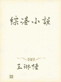 综港小说