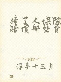 撞了人保险公司赔偿哪些费用