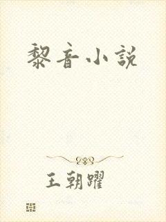 黎音小说