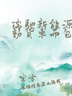 瑞驰新能源纯电动货车面包车