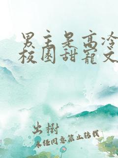 男主是高冷校草校园甜宠文