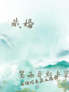 藏婚