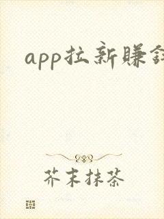 app拉新赚钱