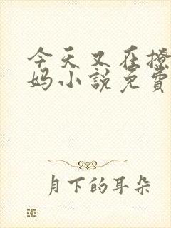 今天又在撩拨后妈小说免费阅读全文