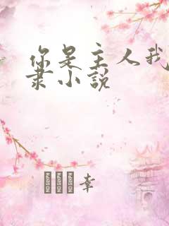 你是主人我是奴隶小说