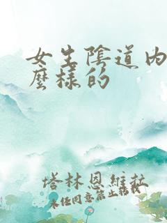 女生阴道内是什么样的 女生阴道内是什么样的