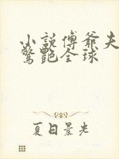 小说傅爷夫人又惊艳全球