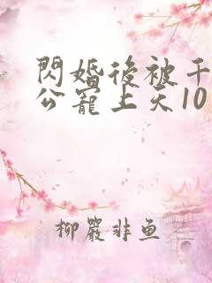 闪婚后被千亿老公宠上天10