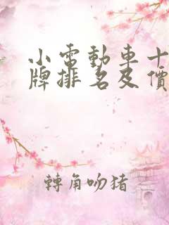 小电动车十大名牌排名及价格