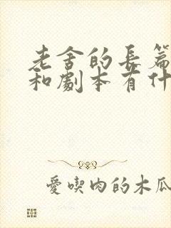 老舍的长篇小说和剧本有什么