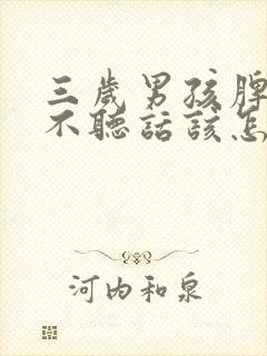 三岁男孩脾气犟不听话该怎么管教