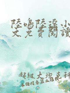 陆鸣陆瑶小说全文免费阅读