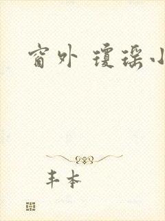 窗外 琼瑶小说