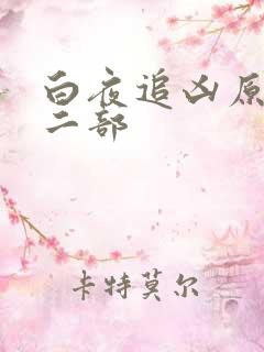 白夜追凶原著第二部